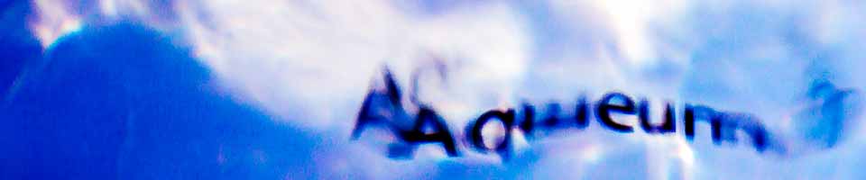 Header image alt text