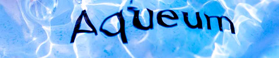 Header image alt text